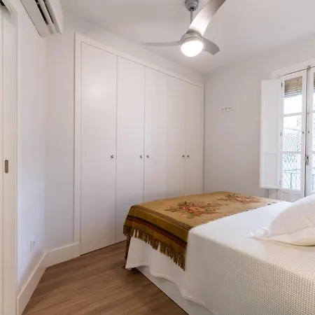 Duplex De Lujo Junto A La Catedral Terraza Privada Con Vistas A La Giralda *