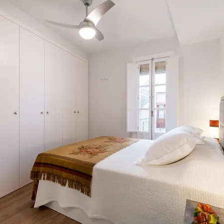 דירה Duplex De Lujo Junto A La Catedral Terraza Privada Con Vistas A La Giralda סביליה